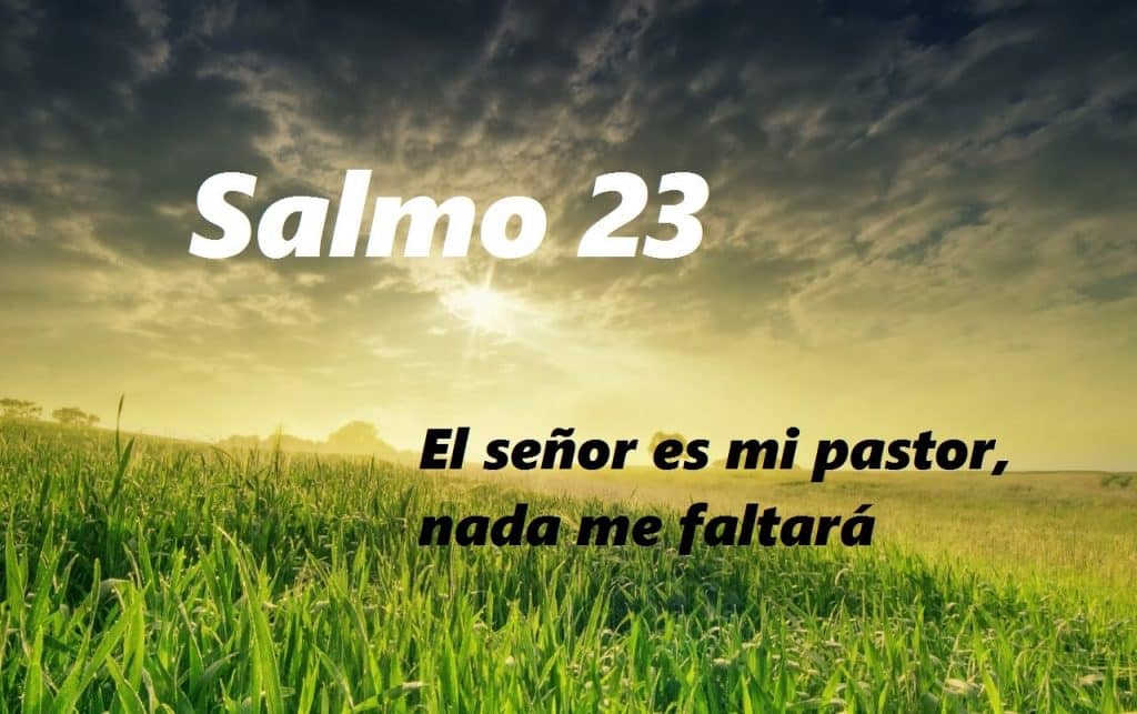 Salmo 23 de la biblia catolica